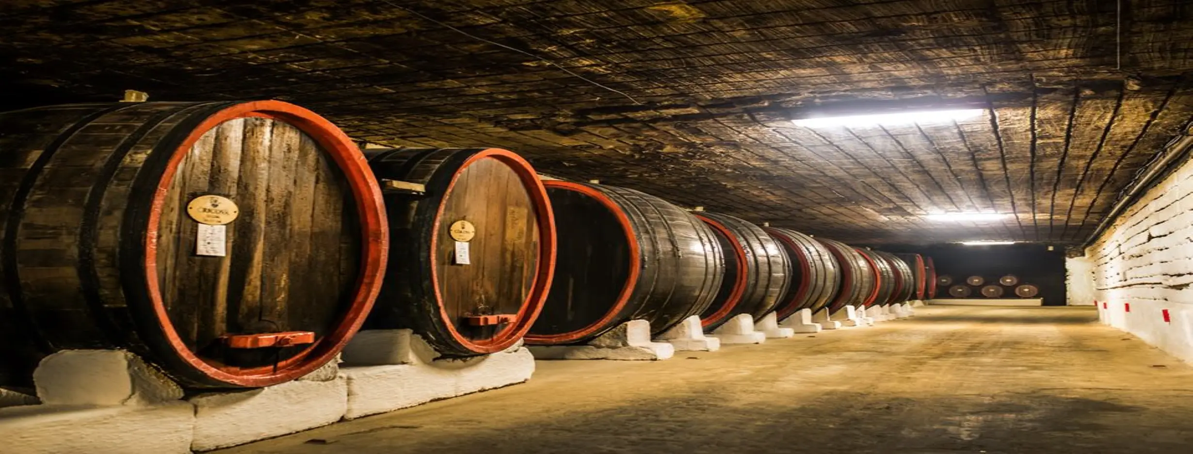 Image for Cricova Winery Tour